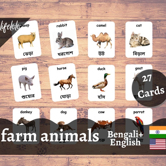 Farm Animals BENGALI English Bilingual Cards 27 Bengali - Etsy Singapore Farm Animals BENGALI English Bilingual Cards 27 Bengali - Etsy Singapore