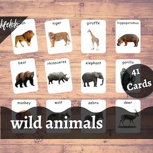 Wild Animals Real Pictures - 41 Forest Animals Flash Cards | Montessori Cards | Homeschooling | Three Part Cards - Download Printable