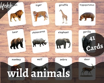 Wild Animals Real Pictures 41 Forest Animals Flash Cards - Etsy Wild Animals Real Pictures 41 Forest Animals Flash Cards - Etsy