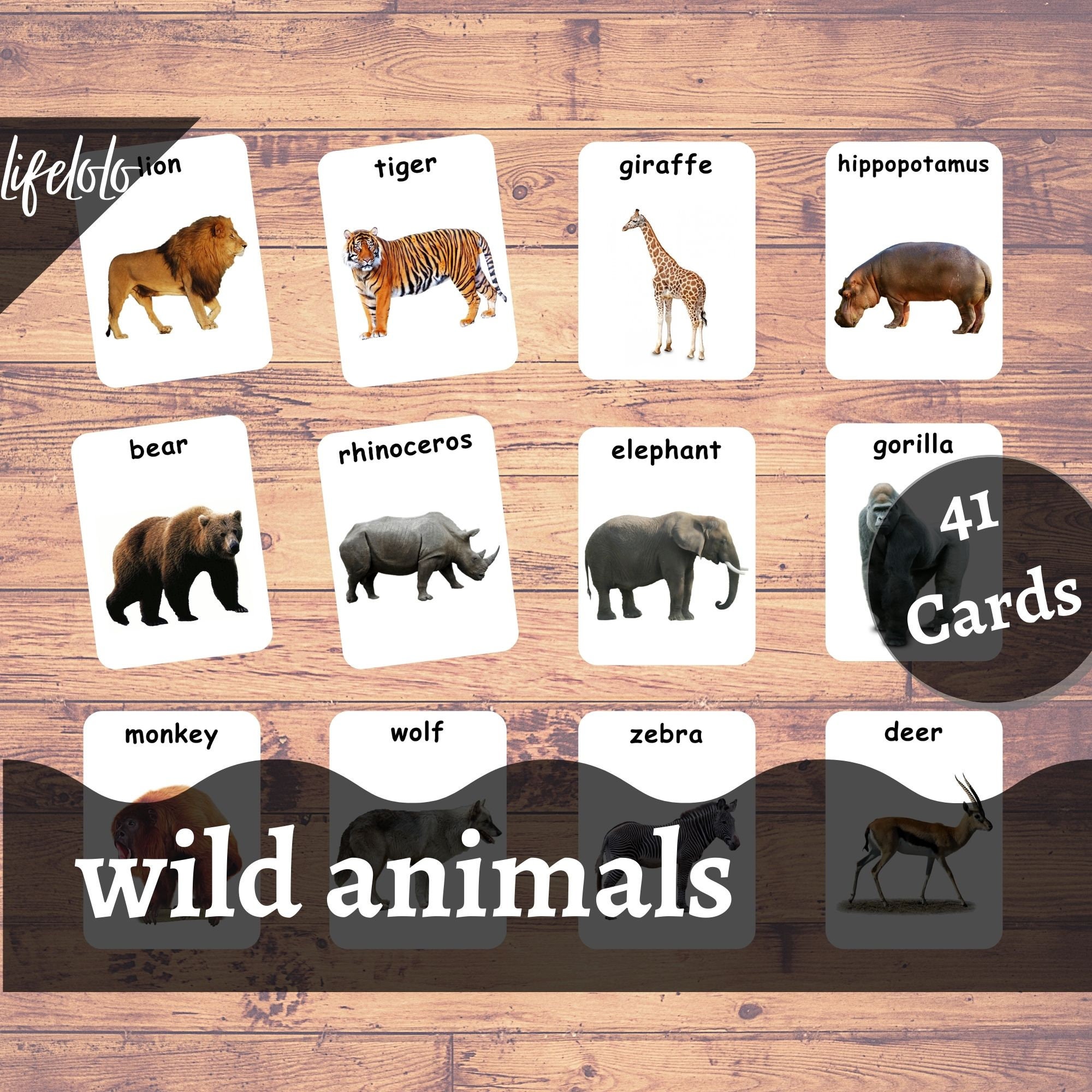 Wild Animals Real Pictures 41 Forest Animals Flash (Instant Download) 