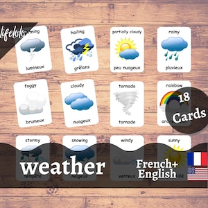 Carte meteorologiche in FRANCESE / Carte Flash francesi / Carte bilingue inglesi / Materiale Montessori / Giocattoli Flash Card - Download stampabile per bambini