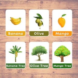 Arbres et fruits assortis (22 cartes) - Cartes de tri | Cartes assorties | Montessori | École à la maison | Éducatif - Téléchargement numérique
