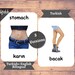 Body Parts (real) | TURKISH | English Bilingual Cards | 24 Turkish ...
