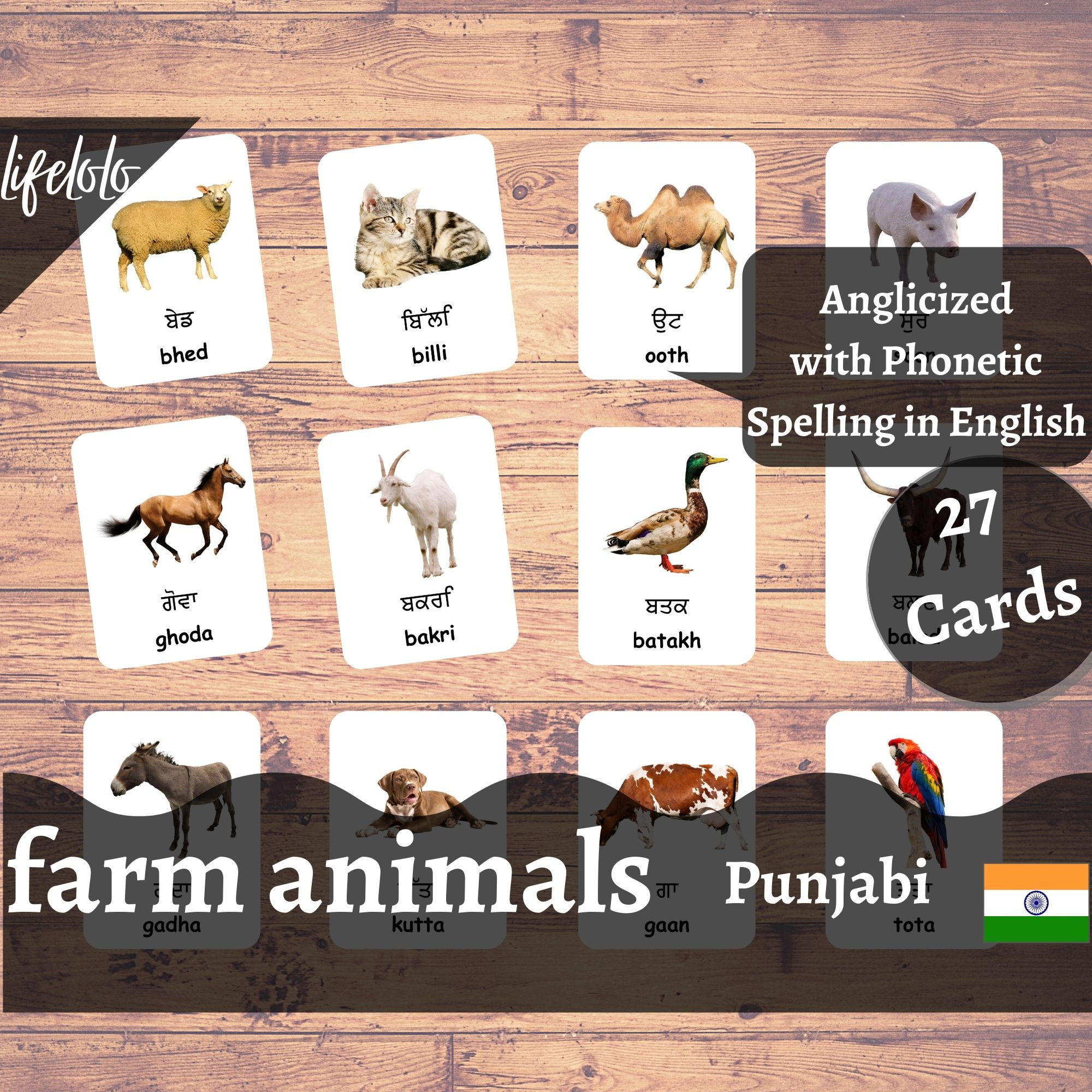 Farm Animals PUNJABI English Bilingual Cards 27 Punjabi - Etsy Australia