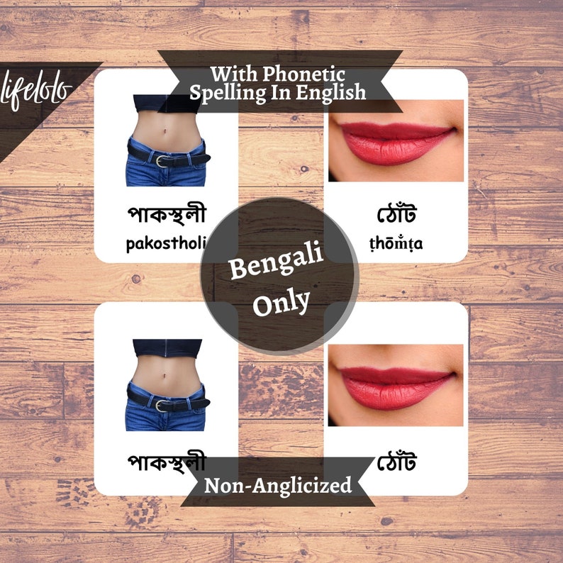 HUMAN BODY PARTS MEANING IN BENGALI visual data 6