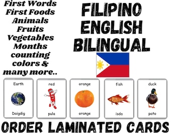Flash card laminate filippine / flash card fatte a mano / bilingue - inglese & filippino / carte a tre parti laminate / acquista carte filippine