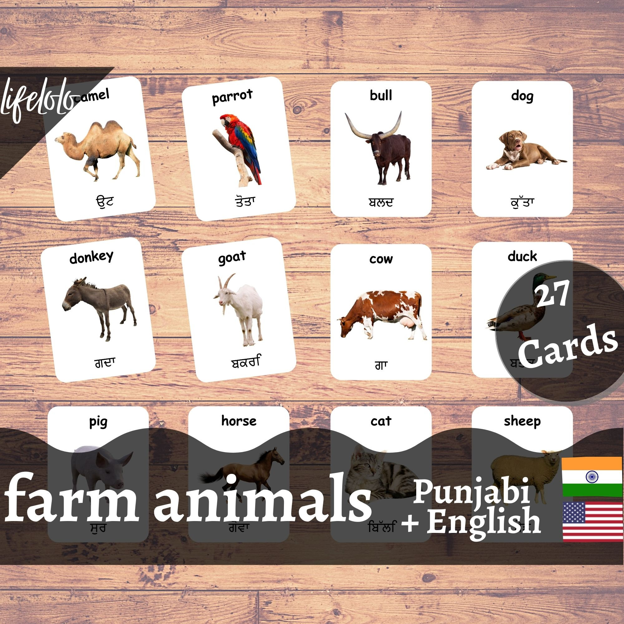 Farm Animals PUNJABI English Bilingual Cards 27 Punjabi Etsy España