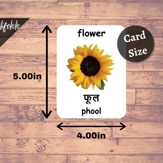 first words hindi version english bilingual cards 48 hindi etsy