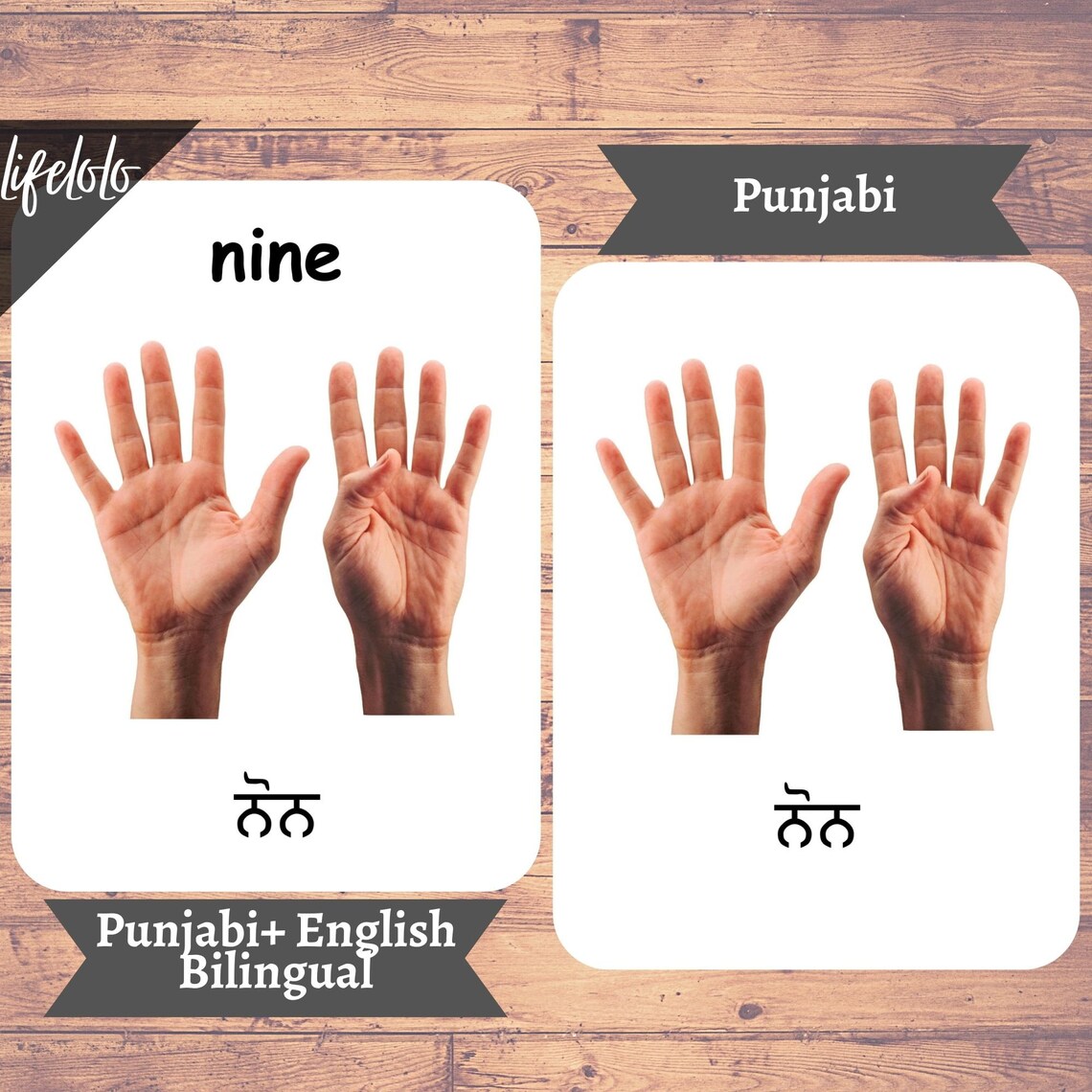 PUNJABI Numbers Counting Flashcards Learn Punjabi Toddler Etsy