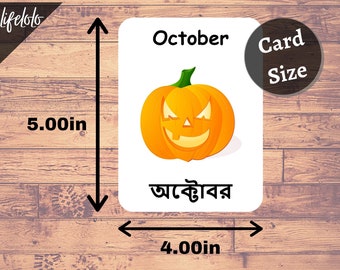 Bangla Meaning of Squash