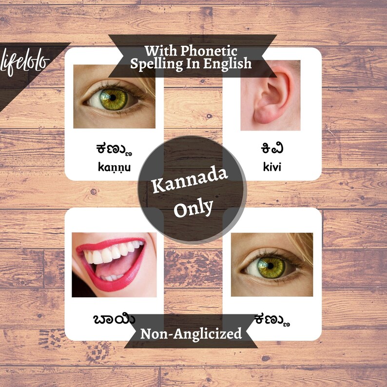 Body Parts real KANNADA English Bilingual Cards 24 - Etsy