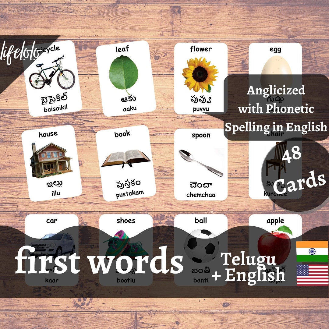 First Words TELUGU Version - English Bilingual Cards | 48 Telugu Flash