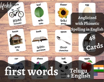 First Words TELUGU Version English Bilingual Cards 48 