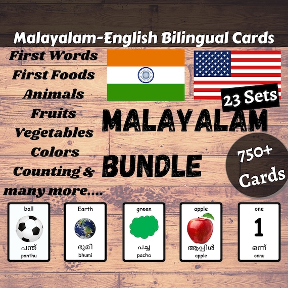 First Words MALAYALAM Version English Bilingual Cards 48 