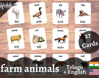 Farm Animals TELUGU English Bilingual Cards 27 Telugu - Etsy Finland Farm Animals TELUGU English Bilingual Cards 27 Telugu - Etsy Finland