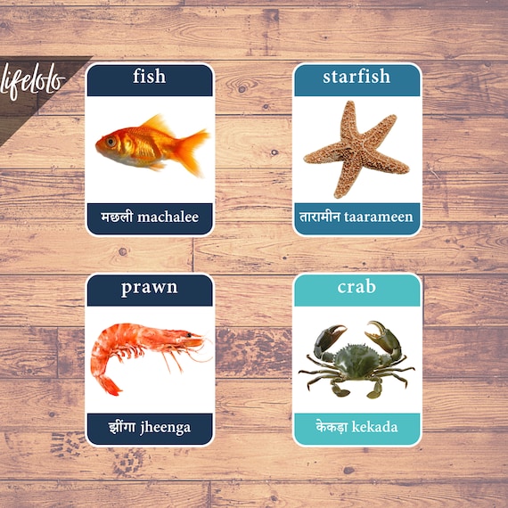 Sea Animals HINDI Version English Bilingual Cards Flash - Etsy UK Sea Animals HINDI Version English Bilingual Cards Flash - Etsy UK