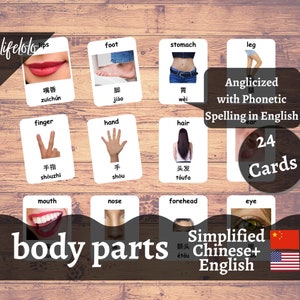 May include: A set of 24 flashcards featuring illustrations of body parts with corresponding English and simplified Chinese words. The cards are white with black text and images. The words are written in both English and Chinese, with phonetic spellings for the Chinese words.
