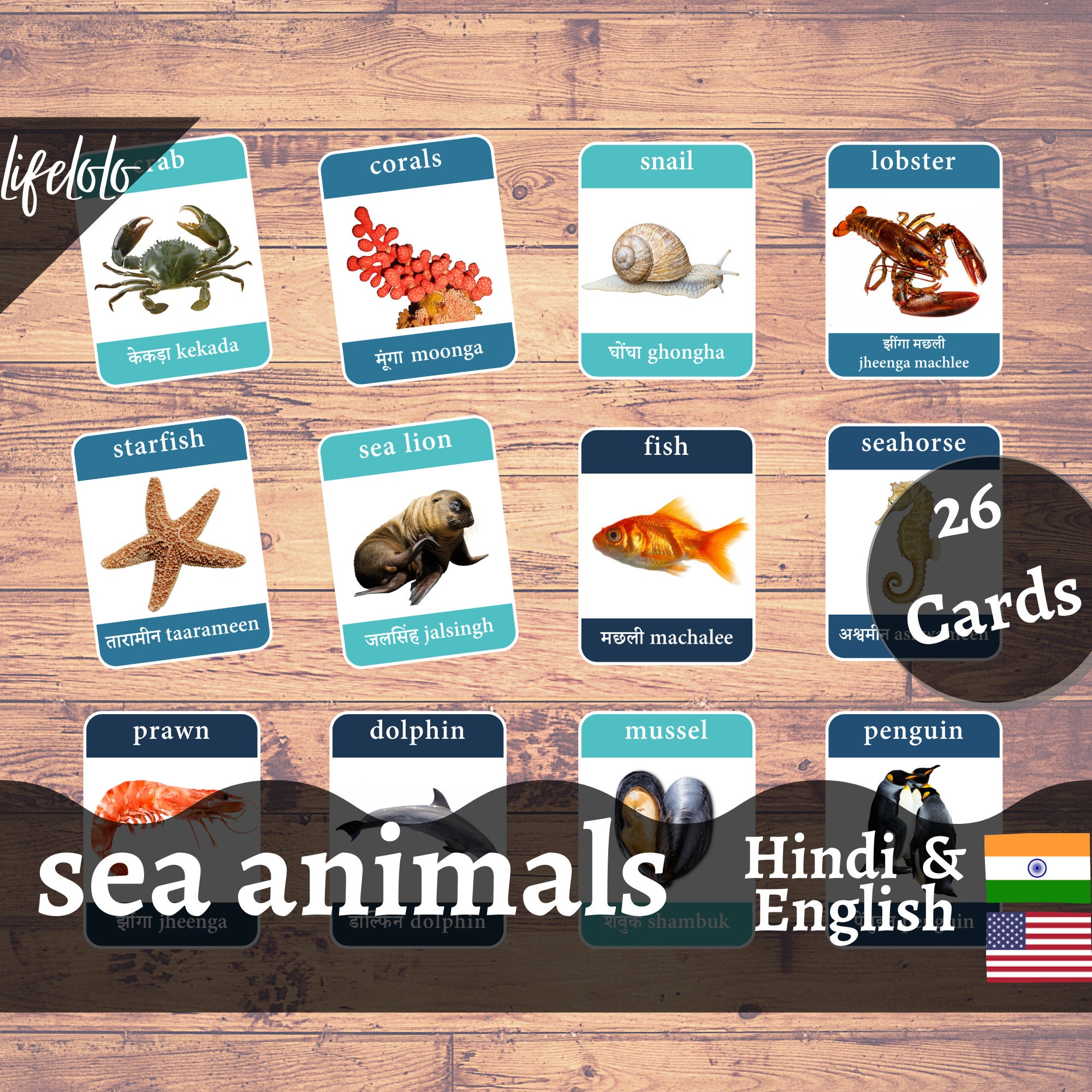 Sea Animals HINDI Version English Bilingual Cards Flash - Etsy Ireland Sea Animals HINDI Version English Bilingual Cards Flash - Etsy Ireland
