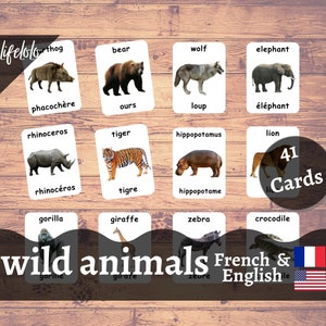 Versão FRANCESA de animais selvagens - cartões bilíngues em inglês | 41 cartões flash franceses | Ensino em casa | Material Montessori - Download para impressão