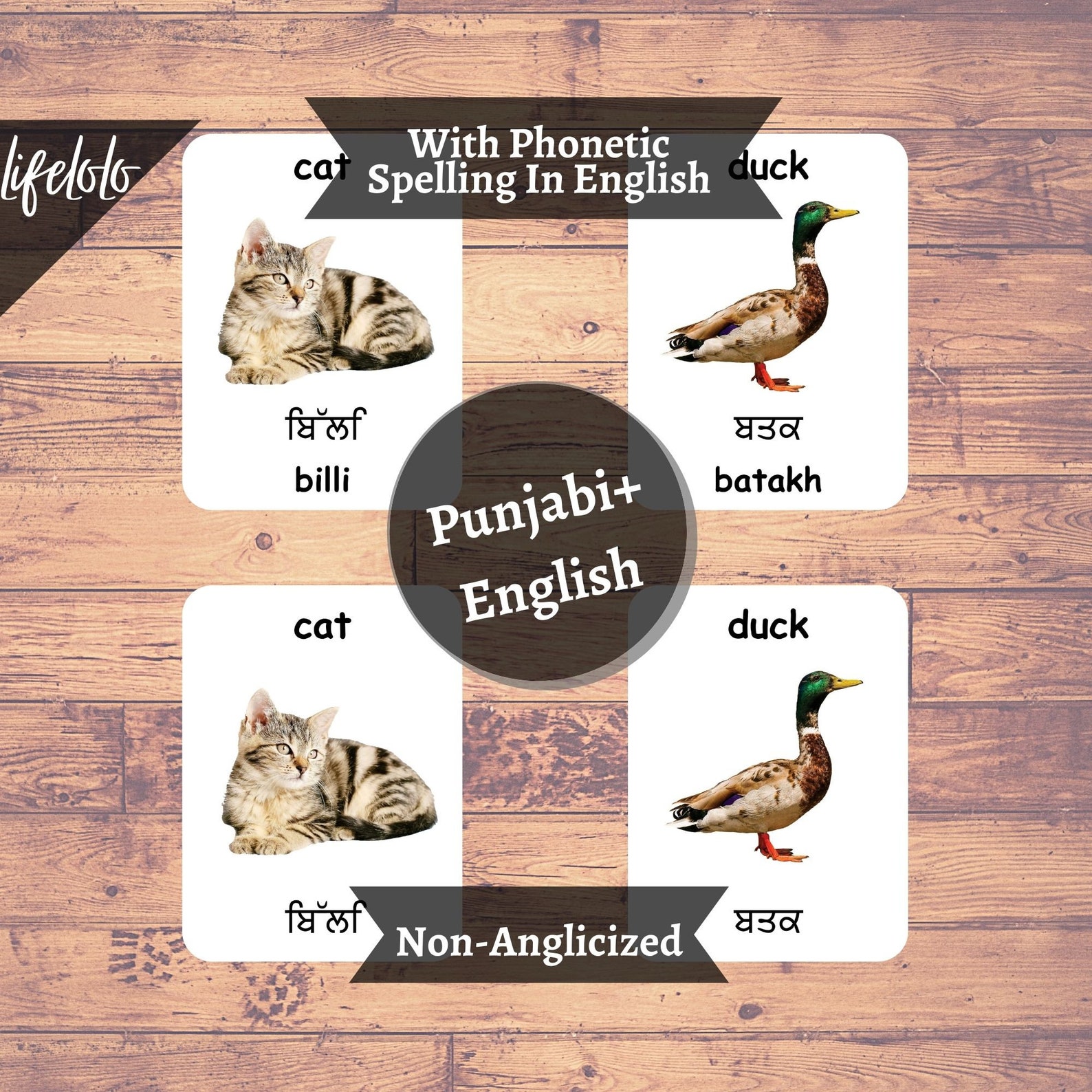 Farm Animals PUNJABI English Bilingual Cards 27 Punjabi Etsy España