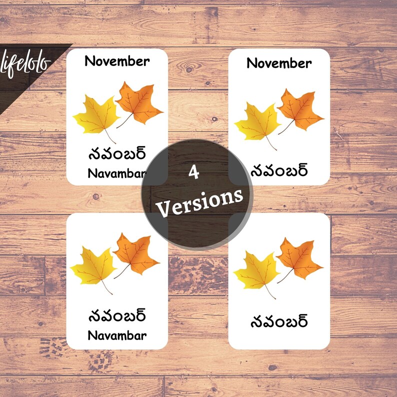 Months of the Year TELUGU Flash Cards, 12 Bilingual Cards, Montessori ...