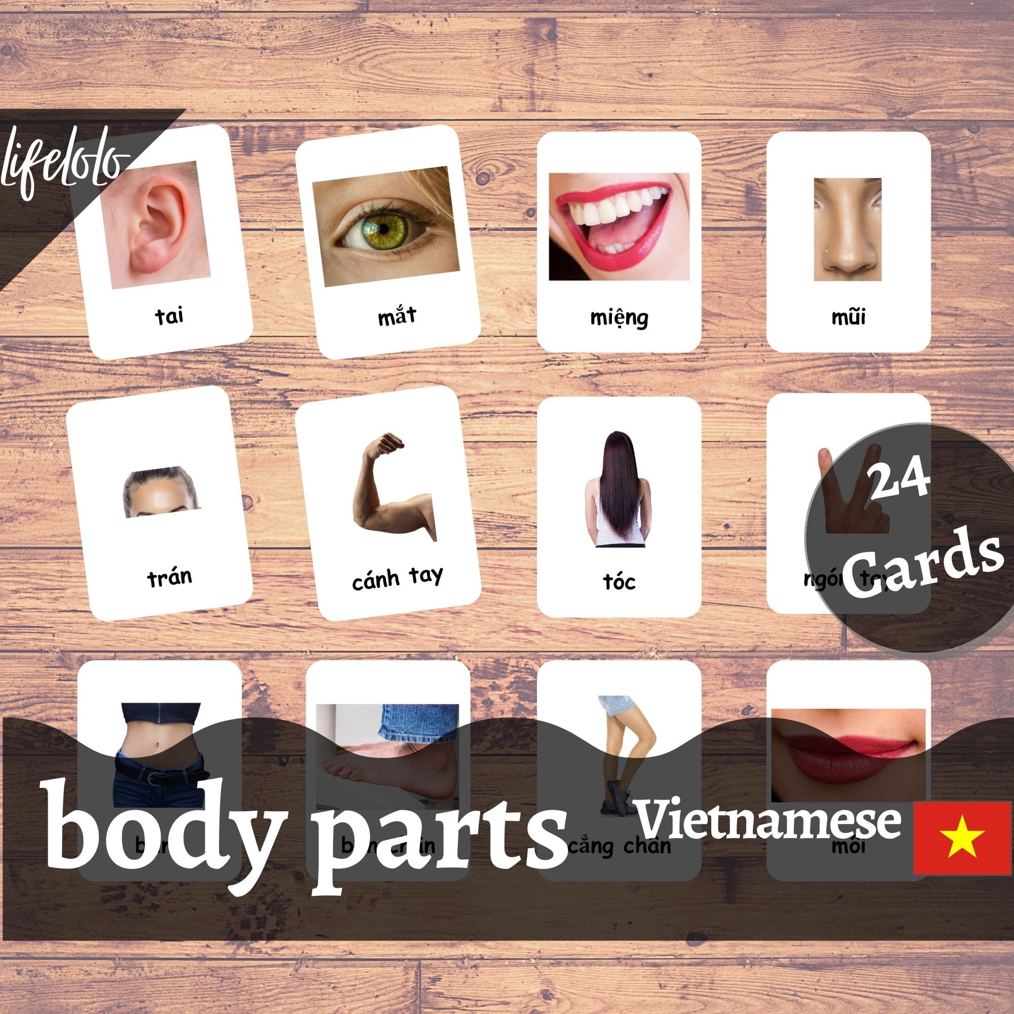 Body Parts (real) | VIETNAMESE | English Bilingual Cards | 24 ...