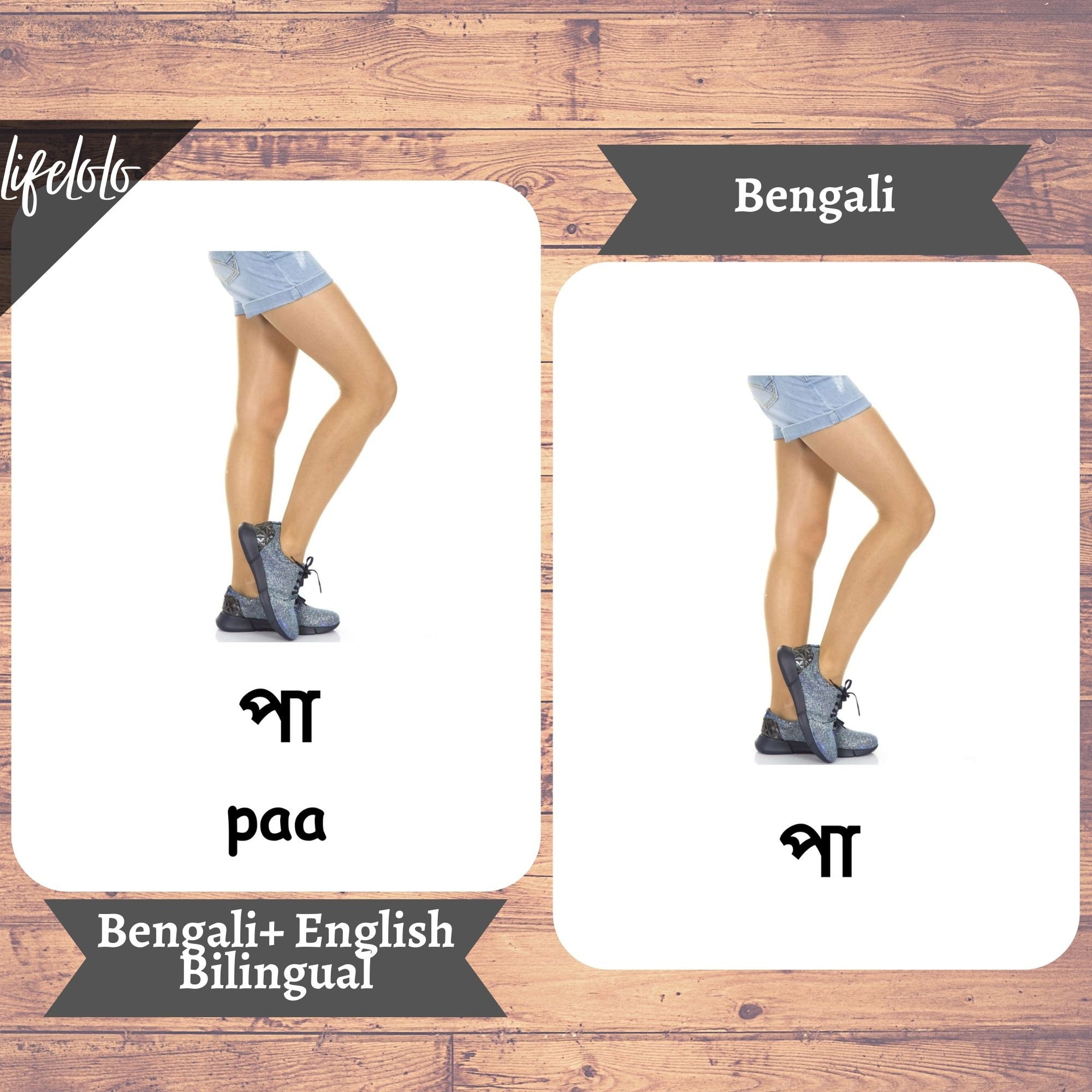 HUMAN BODY BENGALI MEANING visual data 5