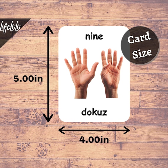 トルコ語の数字、数え方フラッシュカード、トルコ語の学習、幼児向け