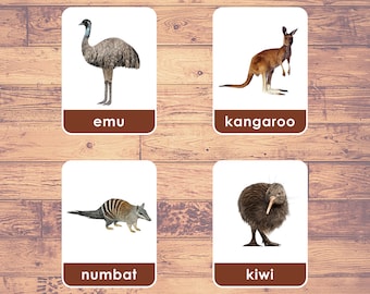 Animales de Australia (24 Tarjetas) - Tarjetas Flash (Fotos Reales) / Tarjetas Montessori / Tarjetas de Vida Silvestre de Australia / Tarjetas de Tres Partes / PDF Imprimible