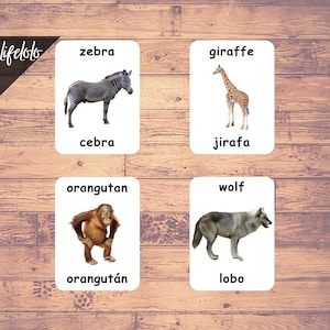 May include: Four flashcards with pictures of animals and their names in English and Spanish. The animals are a zebra, giraffe, orangutan, and wolf.