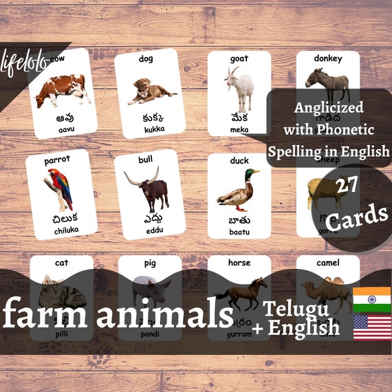 Buy Farm Animals TELUGU English Bilingual Cards 27 Telugu Online in India - Etsy Buy Farm Animals TELUGU English Bilingual Cards 27 Telugu Online in India - Etsy