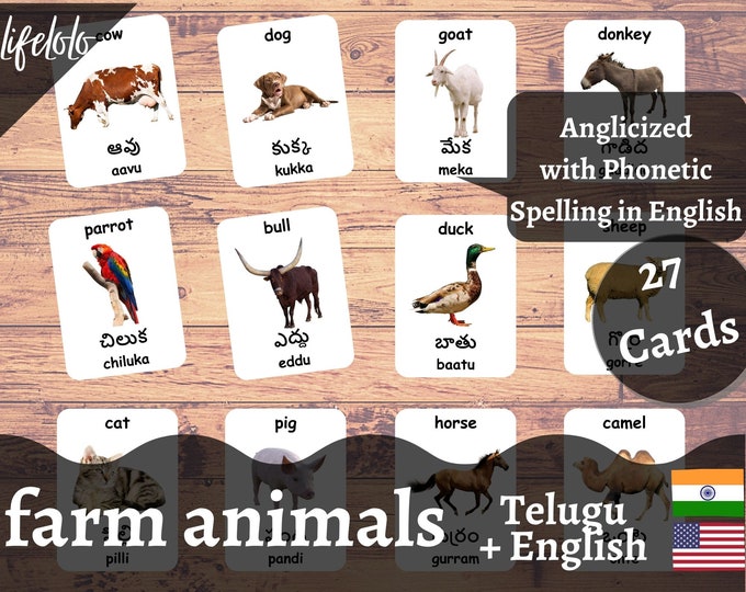 Printable Telugu Flashcards - Etsy India