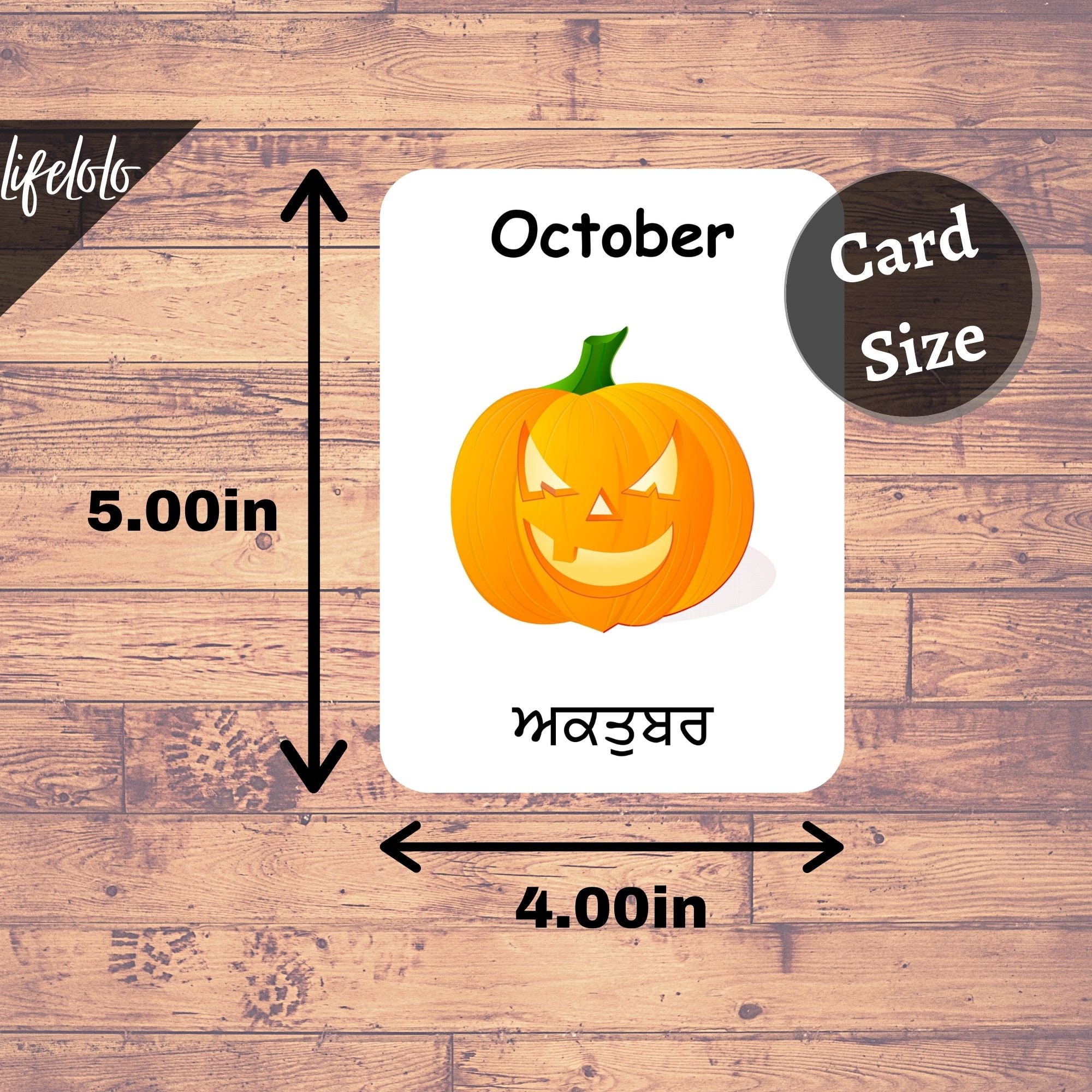 Months of the Year PUNJABI Flash Cards, 12 Bilingual Cards, Montessori ...