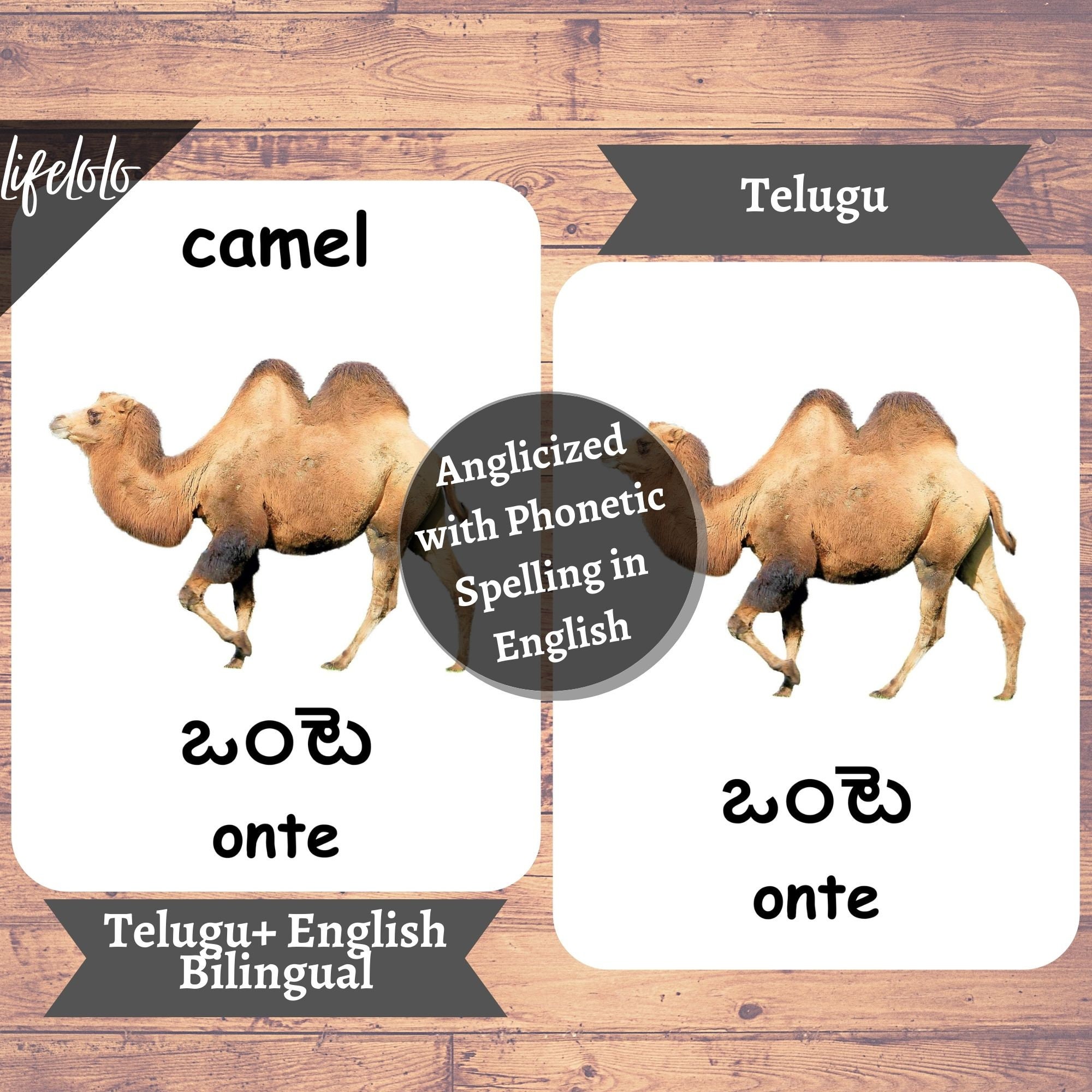 Farm Animals TELUGU English Bilingual Cards 27 Telugu - Etsy Finland Farm Animals TELUGU English Bilingual Cards 27 Telugu - Etsy Finland