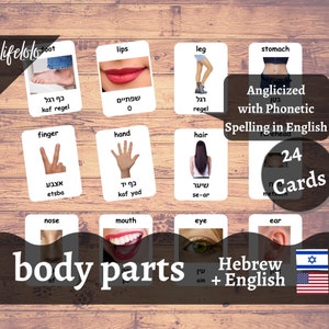 Body Parts (Real) | HEBREW | English Bilingual Cards | 24 Hebrew Flashcards | Montessori Materials | Homeschooling Kids Printable Download
