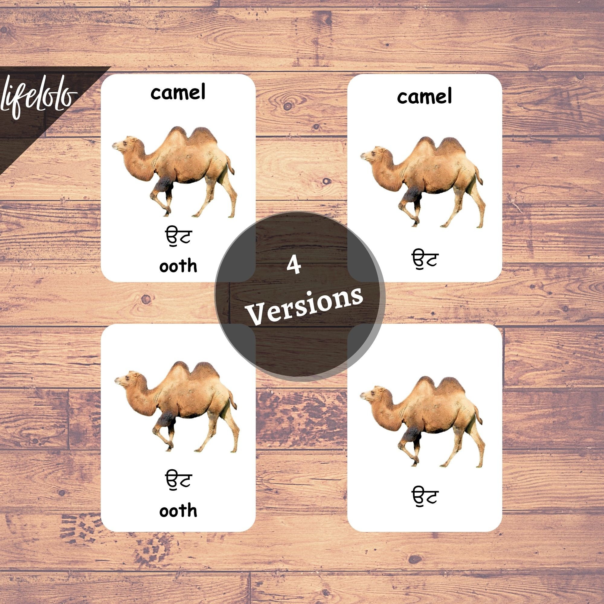 Farm Animals PUNJABI English Bilingual Cards 27 Punjabi Etsy España