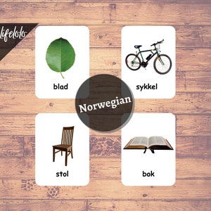 First Words NORWEGIAN Version - English Bilingual Cards | 48 Flash ...