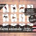 Farm Animals | ARABIC | English Bilingual Cards | 27 Arabic Language ...