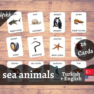 Zeedieren TURKSE versie - Engelse tweetalige kaarten | 26 Turkse Flash-kaarten | Thuisonderwijs | Educatief materiaal - afdrukbare download