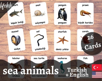 Sea Animals TURKISH Version - English Bilingual Cards | 26 Turkish Flash Cards | Homeschooling | Educational Material - Printable Download