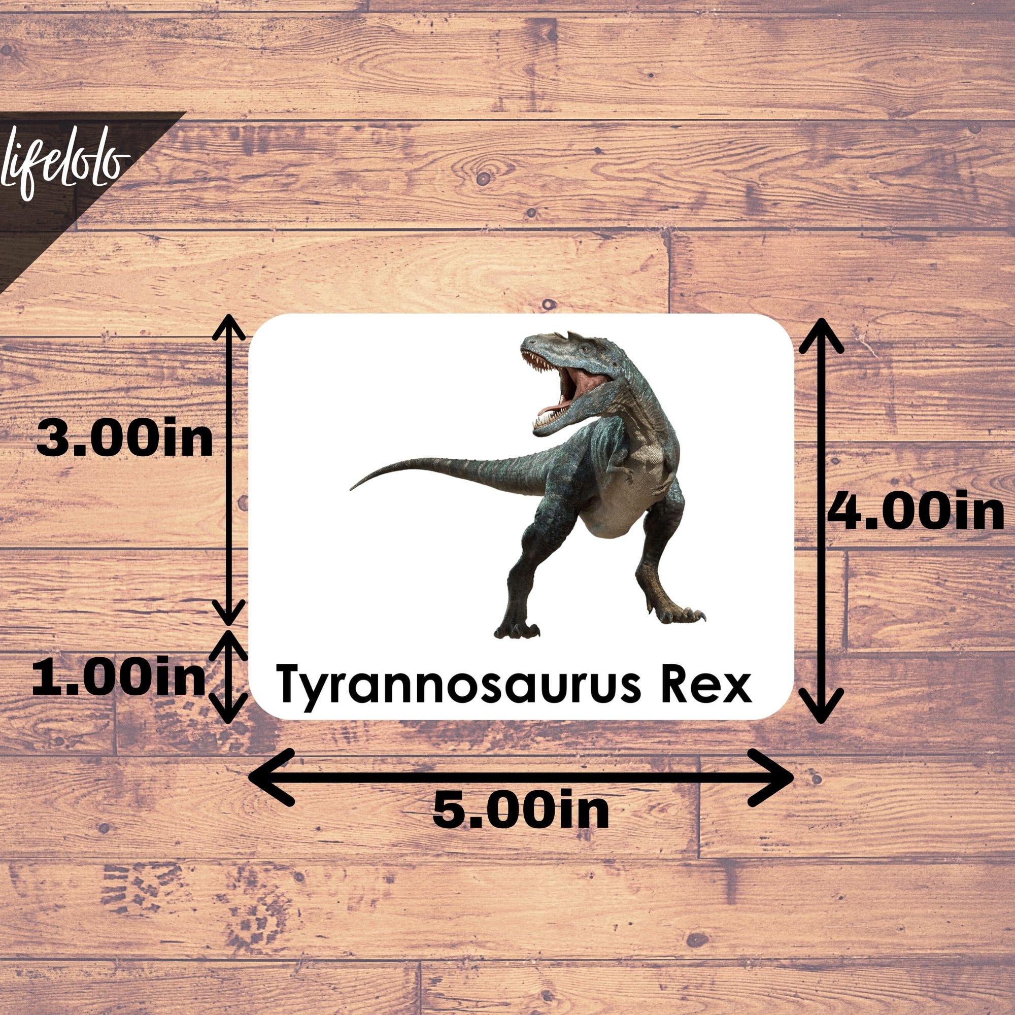 Dinosaurs Flash Cards | Montessori Cards | 3 Part Cards, Kids Printable ...