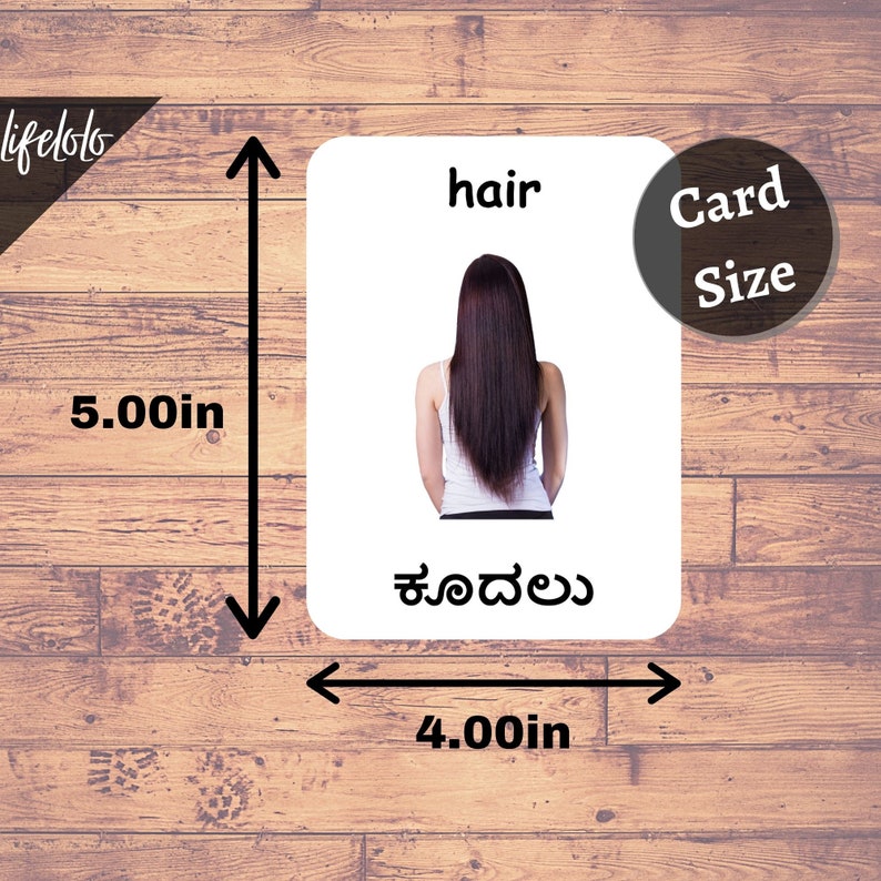 Body Parts Real KANNADA English Bilingual Cards 24 | Etsy