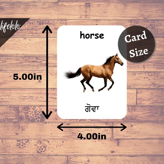 Farm Animals PUNJABI English Bilingual Cards 27 Punjabi - Etsy Australia Farm Animals PUNJABI English Bilingual Cards 27 Punjabi - Etsy Australia