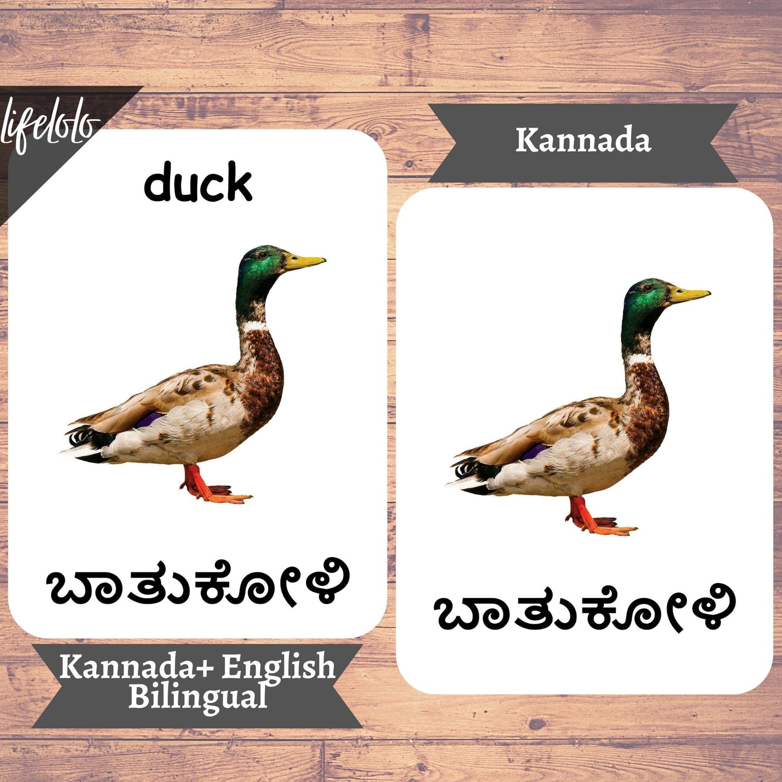 Farm Animals KANNADA English Bilingual Cards 27 Kannada Etsy France