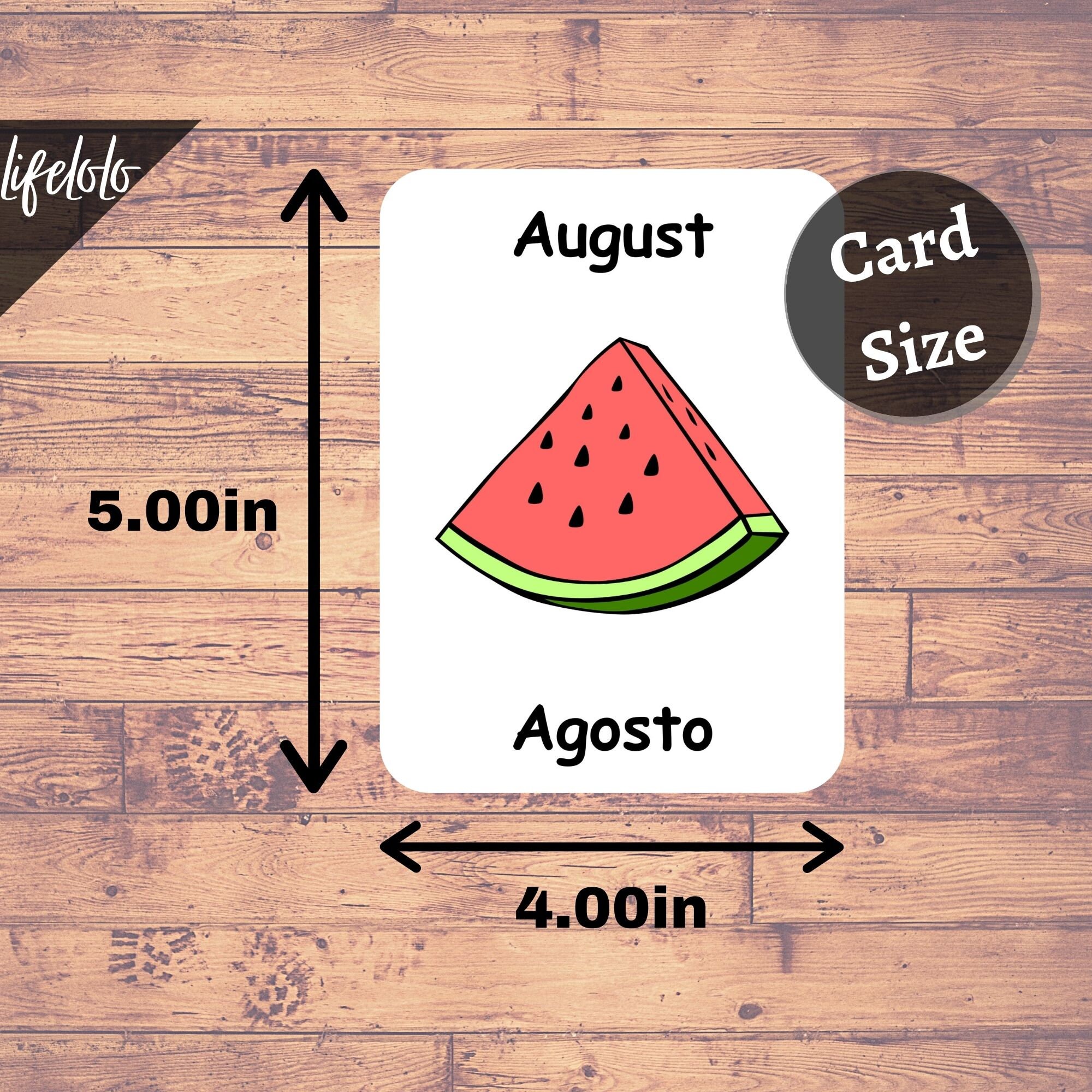 Months of the Year PORTUGUESE Flash Cards, 12 Bilingual Cards ...