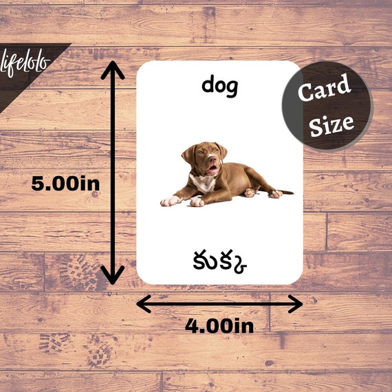 Buy Farm Animals TELUGU English Bilingual Cards 27 Telugu Online in India - Etsy Buy Farm Animals TELUGU English Bilingual Cards 27 Telugu Online in India - Etsy