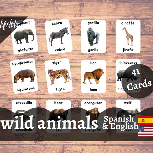 Wild Animals SPANISH Version English Bilingual Cards 41 - Etsy