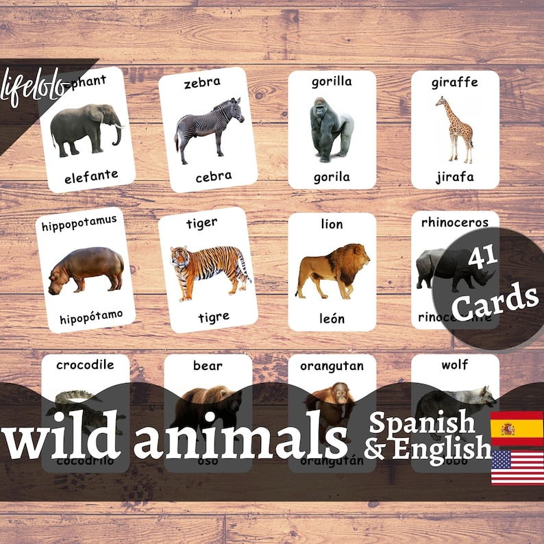 May include: A set of 41 flashcards featuring images of wild animals with their English and Spanish names. The cards are white with black text and images. The cards are arranged in three rows of four cards each. The cards are on a wooden background.