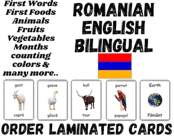 Romanian Flash Cards, Printed Laminated Flashcards in Romanian and English, Bilingual Cards with English Pronunciations, Anglicized Cards
