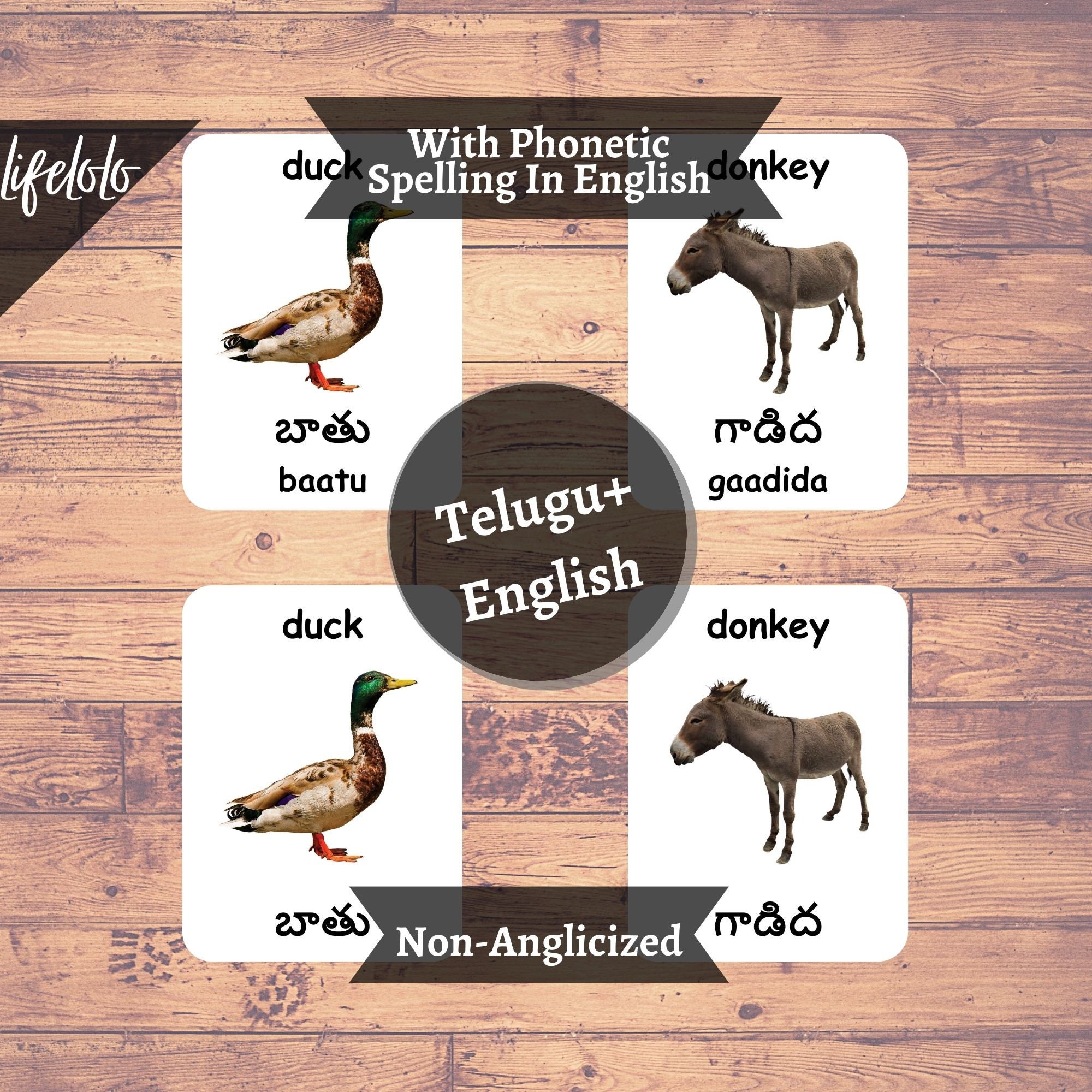 Farm Animals TELUGU English Bilingual Cards 27 Telugu - Etsy Israel Farm Animals TELUGU English Bilingual Cards 27 Telugu - Etsy Israel